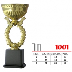 1001