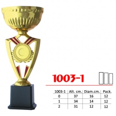 1003-1