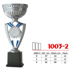 1003-2