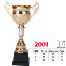 2001 1