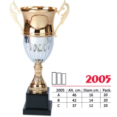 2005