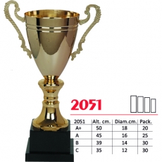 2051