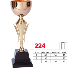 224