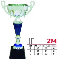 234