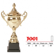 3001 1