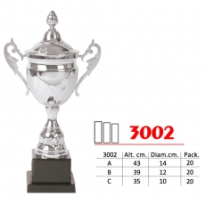 3002