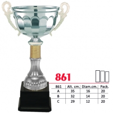 861