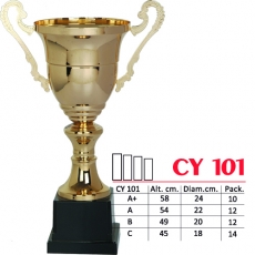 cy101