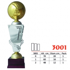 3001
