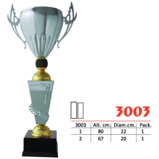 3003