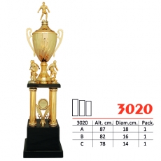 3020