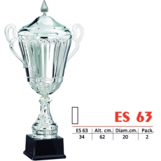 63-31