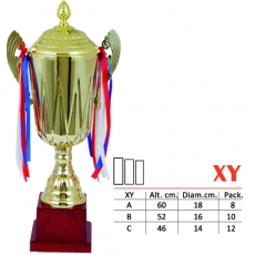 xy