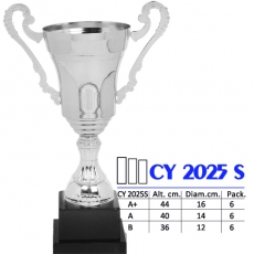 CY 2025s
